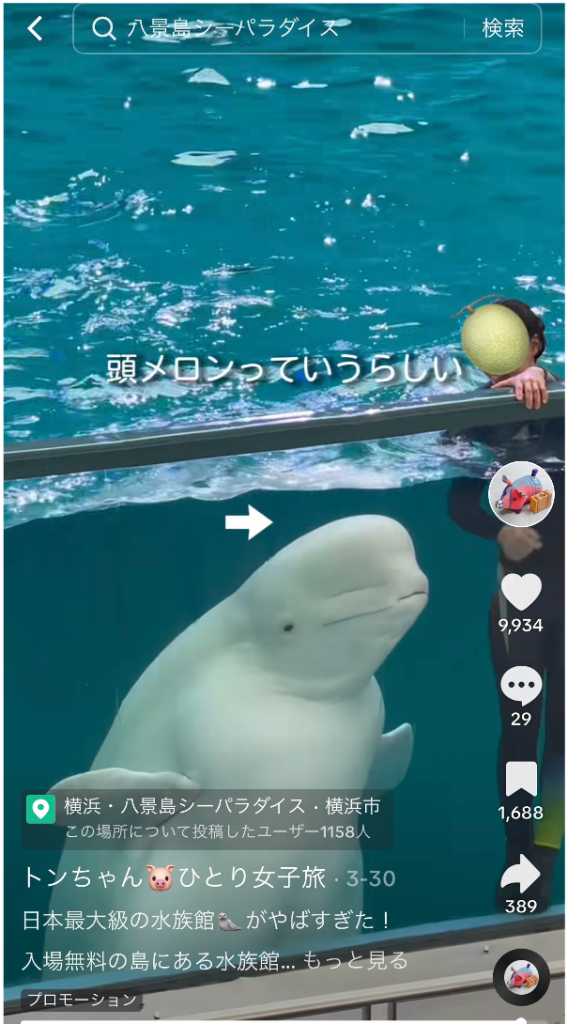 八景島シーパラダイスインフルエンサープロモーション